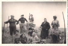 Akcja żniwa w 1968 r., zdjęcie 13