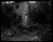 Miedzianka - ruiny browaru (2) [Dokument ikonograficzny]