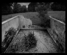 Miedzianka - ruiny na łące poniżej ujęcia wody [Dokument ikonograficzny]