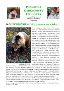 Niedźwiedź brunatny wraca w Sudety [Dokument elektroniczny]