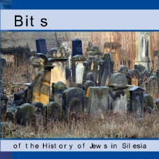 Bits of the History of Jews in Silesia [Dokument elektroniczny]