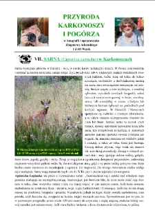 Sarna w Karkonoszach [Dokument elektroniczny]