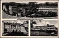 St. Hedwigskrankenhaus Bad Warmbrunn [Dokument ikonograficzny]
