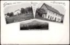 Gruss aus Grunau im Riesengebirge [Dokument ikonograficzny]