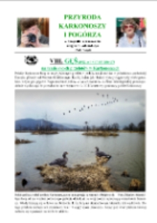 Gęś gęgawa (anser anser) na trasie swych przelotów w Karkonoszach [Dokument elektroniczny]