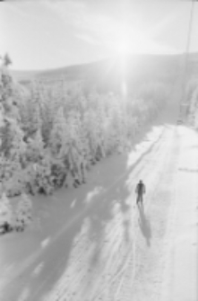 Jakuszyce - biegi zimowe (fot. 2) [Dokument ikonograficzny]