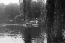 Jelenia Góra - Cieplice, Park Norweski (fot. 42) [Dokument ikonograficzny]