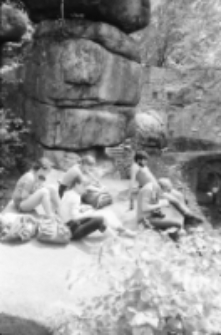 Zamek Bolczów (fot. 2) [Dokument ikonograficzny]