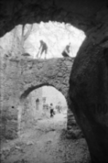 Zamek Bolczów (fot. 11) [Dokument ikonograficzny]