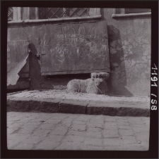 [Jelenia Góra 1958] [Dokument ikonograficzny]