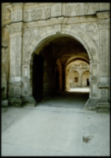 Zamek w Płakowicach (fot.1) [Dokument ikonograficzny]