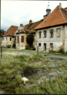 Pałac w Żarskiej Wsi (fot.2) [Dokument ikonograficzny]