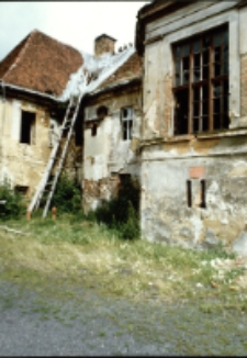 Pałac w Żarskiej Wsi (fot.4) [Dokument ikonograficzny]