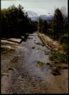 Panorama Karkonoszy (fot. 38) [Dokument ikonograficzny]