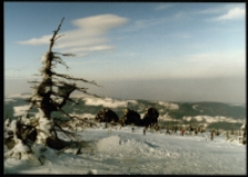 Końskie Łby (fot.1) [Dokument ikonograficzny]