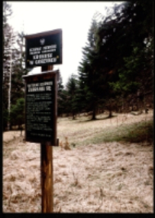 Rezerwat krokusów w Górzyńcu (fot.1) [Dokument ikonograficzny]