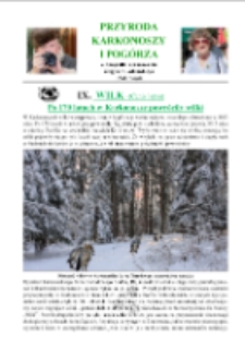 Wilk - (Canis lapus). Po 170 latach w Karkonosze powróciły wilki [Dokument elektroniczny]