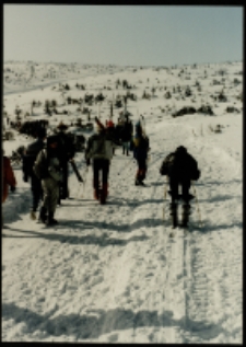 Równia pod Śnieżką zimą (fot. 1) [Dokument ikonograficzny]