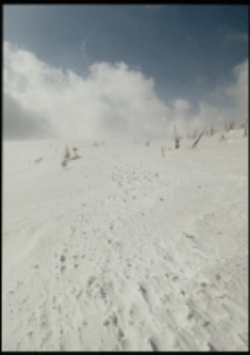 Równia pod Śnieżką zimą (fot. 2) [Dokument ikonograficzny]