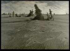 Równia pod Śnieżką zimą (fot. 8) [Dokument ikonograficzny]