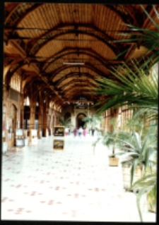 Świeradów-Zdrój, hala spacerowa (fot. 1) [Dokument ikonograficzny]