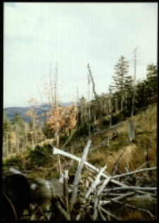 Góry Izerskie (fot.4) [Dokument ikonograficzny]