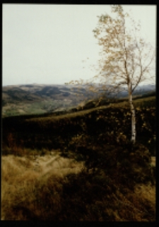 Góry Izerskie (fot.7) [Dokument ikonograficzny]