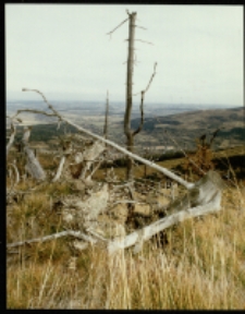 Góry Izerskie (fot.8) [Dokument ikonograficzny]