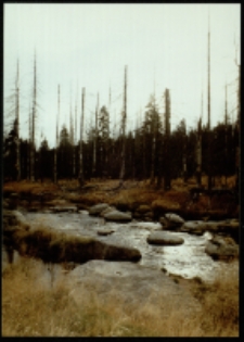 Góry Izerskie (fot.9) [Dokument ikonograficzny]