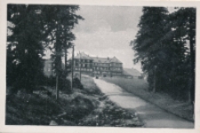 Neue Schlesische Baude [Dokument ikonograficzny]