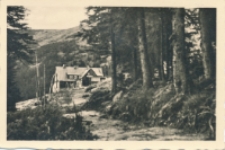 Alte Schlesische Baude, 1168 m ü. M. [Dokument ikonograficzny]