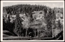 Szklarska Poręba Górna - widok na budynek schroniska młodzieżowego "Riesengebirge" [Dokument ikonograficzny]
