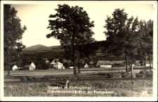 Podgórzyn - widok ogólny w głębi Śnieżka [Dokument ikonograficzny]