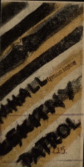 Błękitny patrol - program [Dokument życia społecznego]