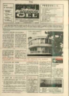 Wspólny cel : gazeta załogi ZWCH "Chemitex-Celwiskoza" , 1987, nr 30 (1029)