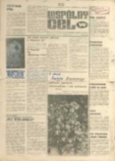 Wspólny cel : Gazeta samorządu robotniczego "Celwiskozy" , 1979, nr 20 (755)