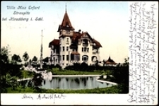 Villa Max Erfurt Straupitz bei Hirschberg i. Schl. [Dokument ikonograficzny]