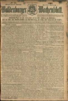 Waldenburger Wochenblatt, Jg. 48, 1902, nr 75