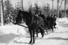 [Szklarska Poręba : kulig] (fot. 4) [Dokument ikonograficzny]