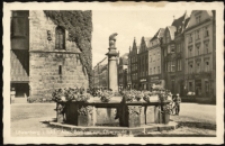 Löwenberg i. Schl., Alter Brunnen am Obermarkt [Dokument ikonograficzny]