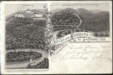 Gruss vom Kienberg bei Greiffenberg i/Schl. [Dokument ikonograficzny]