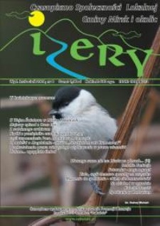 Izery : czasopismo społeczności lokalnej Gminy Mirsk i okolic, 2009, nr 8 (kwiecień)