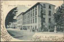 Gruss aus Löwenberg i. Schl. Goldbergerstrasse [Dokument ikonograficzny]