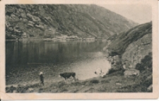 Riesengebirge. Am kleinen Teich [Dokument ikonograficzny]