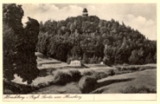 Hirschberg i. Rsgb. Partie am Hausberg [Dokument ikonograficzny]