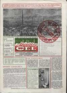 Wspólny cel : gazeta załogi ZWCH "Chemitex-Celwiskoza", 1989, nr 35/36 (1115/1116)