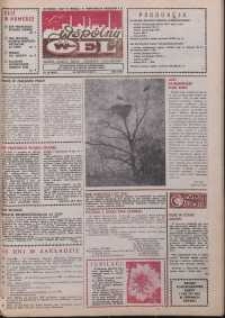 Wspólny cel : gazeta załogi ZWCH "Chemitex-Celwiskoza", 1988, nr 18 (1063)