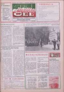 Wspólny cel : gazeta załogi ZWCH "Chemitex-Celwiskoza", 1988, nr 24 (1069)