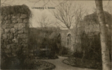 Löwenberg i. Schles. [Dokument ikonograficzny]