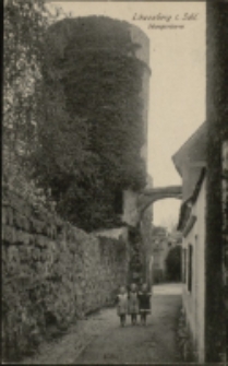 Löwenberg i. Schl. Hungerturm [Dokument ikonograficzny]